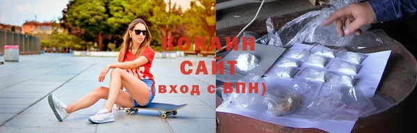 гашик Семилуки