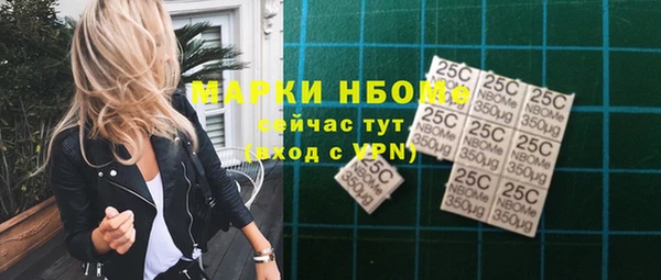 apvp Бородино